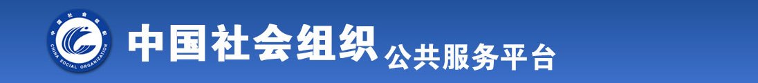 日姑娘BBB网全国社会组织信息查询